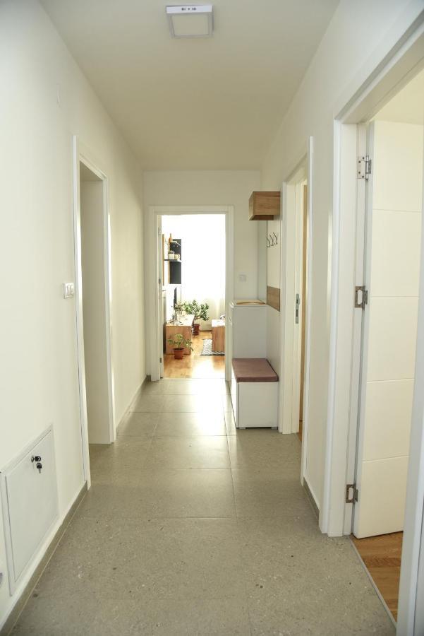 Suncokret Apartmani لوزنيكا المظهر الخارجي الصورة